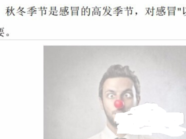 pdf图片怎么调大小第6步