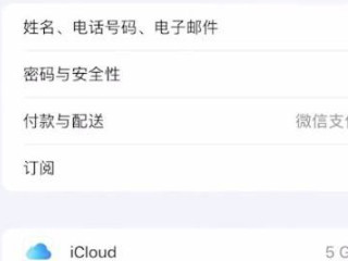苹果手机如何取消爱奇艺自动续费第2步
