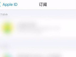 苹果手机如何取消爱奇艺自动续费第3步