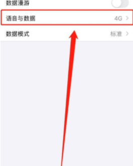 苹果12pro max5g怎么关闭第4步