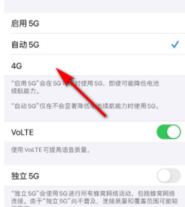 苹果12pro max5g怎么关闭第5步
