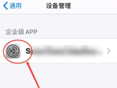 苹果手机怎么验证app第3步