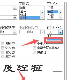 怎么给字下面加一点?第4步