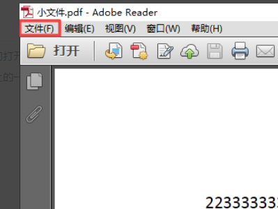 pdf怎么打印双面第1步
