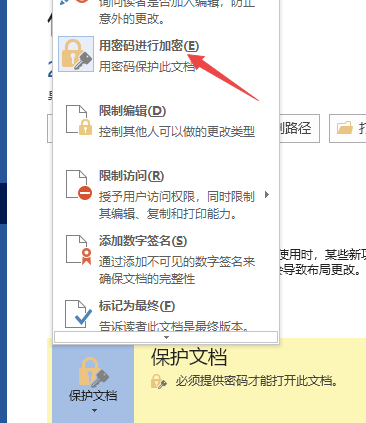word取消密码第5步