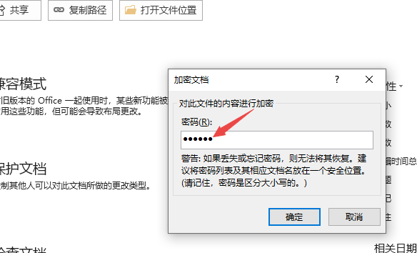 word取消密码第6步