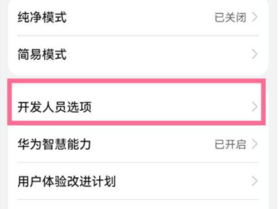 华为手机如何进入开发者选项第3步