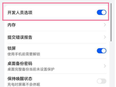华为手机如何进入开发者选项第4步