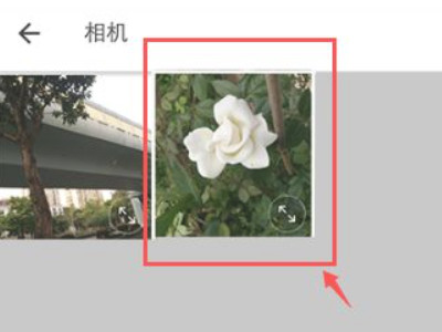 手机哪个app能把图变线稿第2步