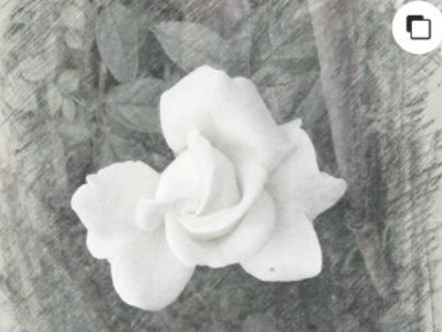 手机哪个app能把图变线稿第6步