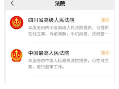 网上立案怎么查询第4步