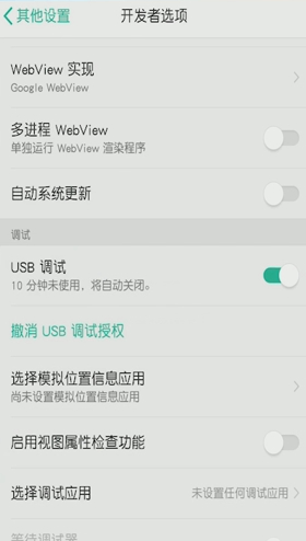oppo手机怎么打开开发者选项第5步