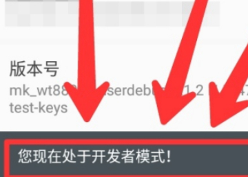 如何打开开发者选项第4步