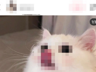 小红书照片怎么保存到相册第2步