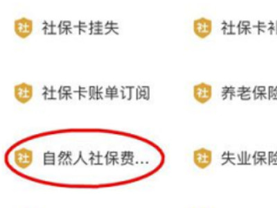 医疗合作网上怎么交第3步