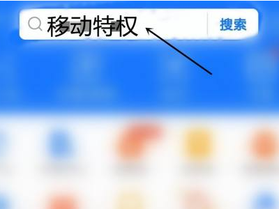 支付宝移动双v会员怎么取消自动续费第1步
