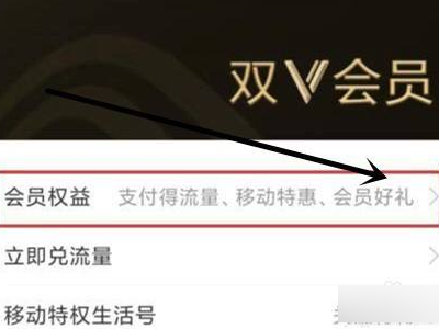 支付宝移动双v会员怎么取消自动续费第3步