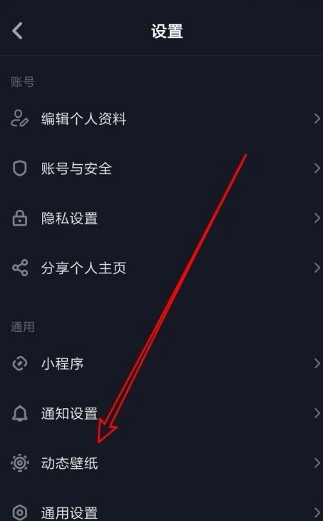 抖音看不到动态壁纸按钮第4步