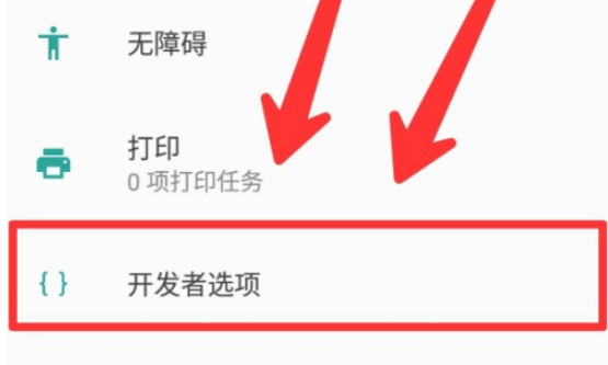 开发者模式怎么打开第5步