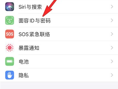 苹果12pro max功能操作教学第5步