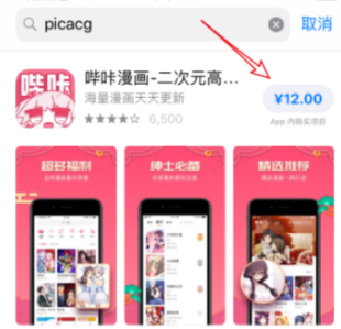 ios端怎么下picacg第4步