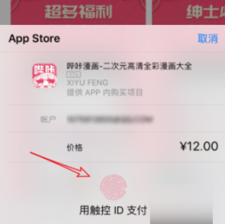 ios端怎么下picacg第5步