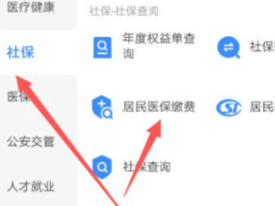 支付宝怎么交个人医保第4步