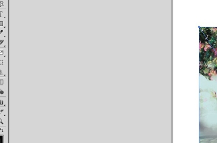 ai剪切蒙版的快捷键第1步