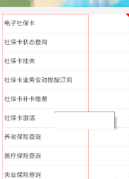 我的电子社保卡在手机里哪里找第4步