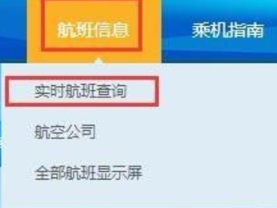 如何查询航班实时情况第2步