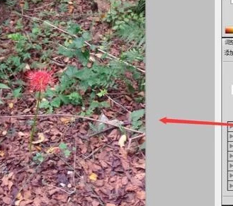 ps反选的快捷键是什么第2步