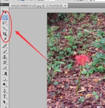 ps反选的快捷键是什么第3步