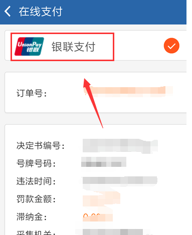 交管12123未开通支付怎么开通第6步