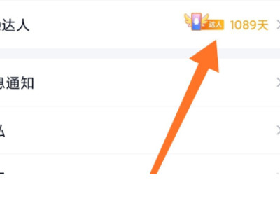 qq达人怎么看一共断了多少天第4步