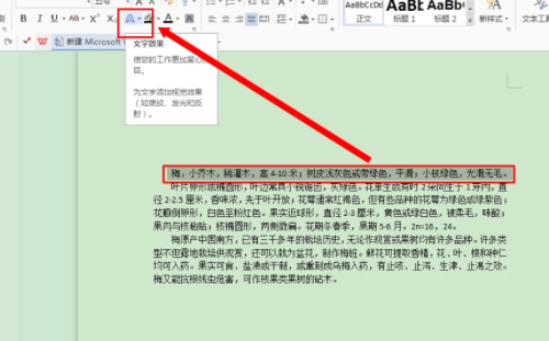 怎么设置艺术字第7步