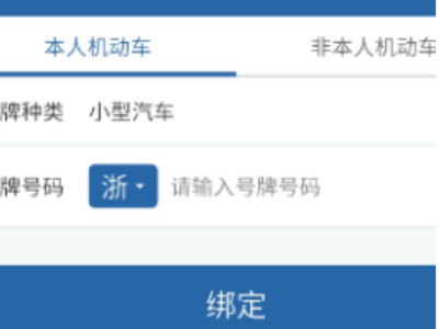 12123怎么查其他人的违章第4步