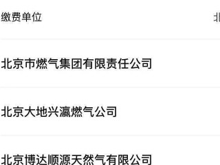 手机怎么查燃气费余额第5步