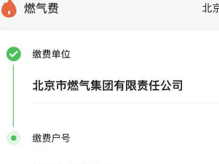 手机怎么查燃气费余额第6步