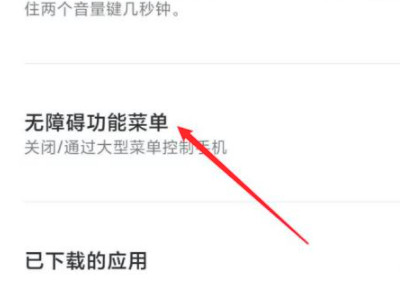 小米无障碍权限功能怎么开启第3步