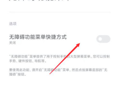 小米无障碍权限功能怎么开启第4步