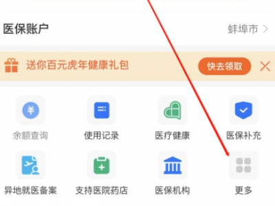 医保明细在手机上怎么查询第3步
