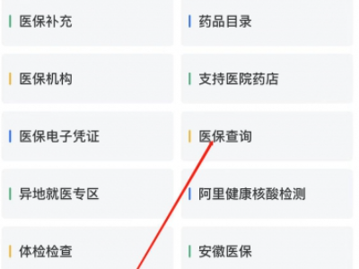 医保明细在手机上怎么查询第4步