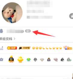 qqid怎么搞第4步