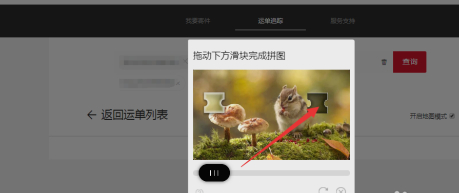 sf开头的顺丰单号怎么查询第4步