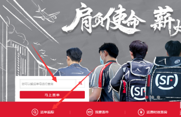 sf开头的顺丰单号怎么查第2步