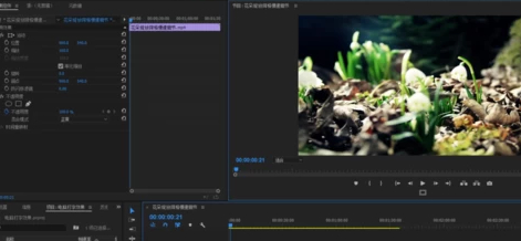 pr字幕一个字一个字蹦出来是怎么弄的第3步