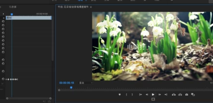 pr字幕一个字一个字蹦出来是怎么弄的第6步