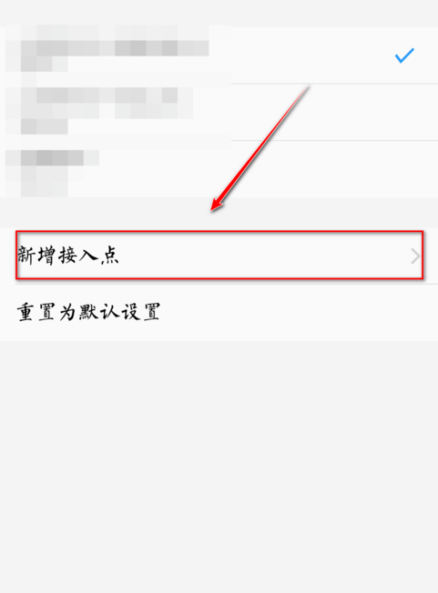 联通4g改5g接入点第4步