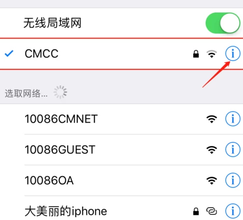 iphone国内最快的dns第3步