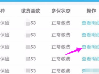 网上怎么查询自己有没有医保第4步